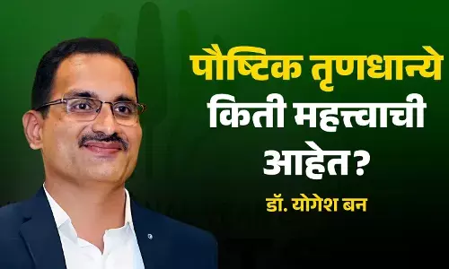 पौष्टिक तृणधान्य किती महत्त्वाची आहेत? पौष्टिक तृणधान्य किती महत्त्वाची आहेत?