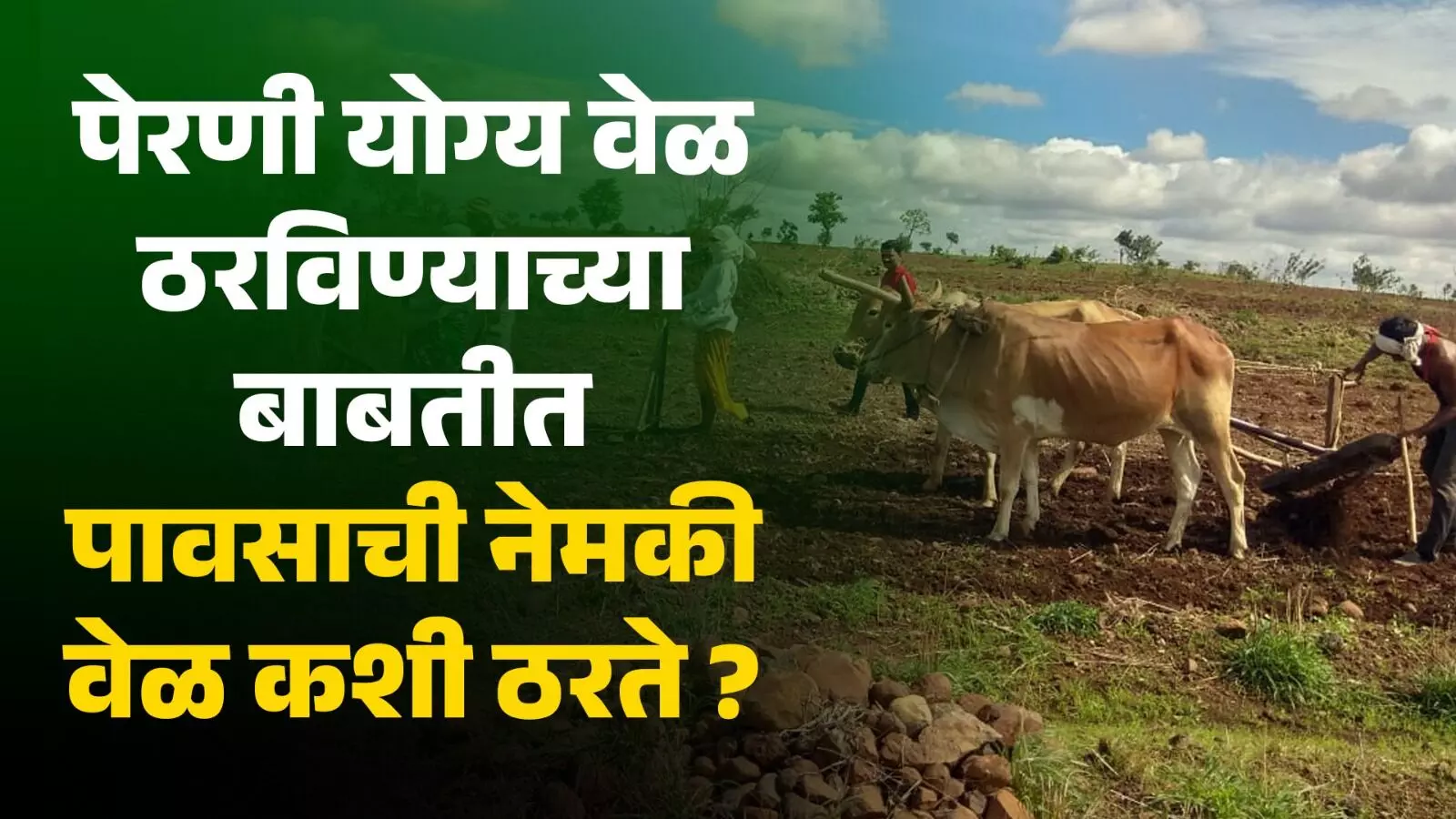 मान्सून आला पण पेरणीची वेळ कोणती ?