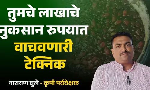 काही रुपयांत लाखोंचे नुकसान वाचवणारी टेक्निक काही रुपयांत लाखोंचे नुकसान वाचवणारी टेक्निक