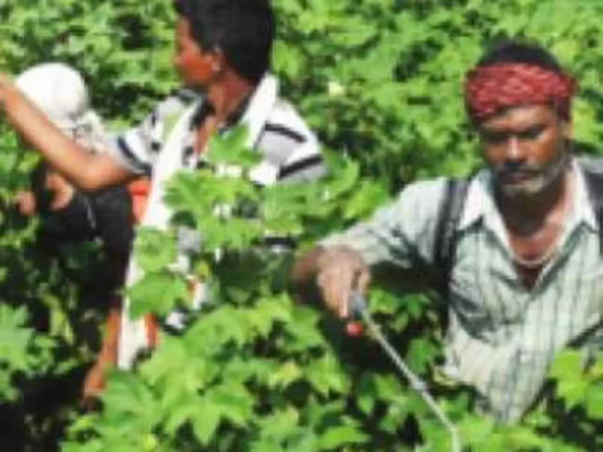 सावधान ! रसायनयुक्त शेतीतील उत्पादनातून तुमच्या घरात येतोय कॅन्सर