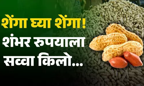 शेंगा घ्या शेंगा...शंभर रुपयाला सव्वा किलो.. शेंगा घ्या शेंगा...शंभर रुपयाला सव्वा किलो..