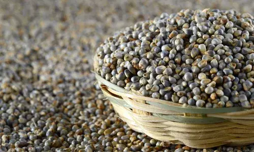 सुदृढ आरोग्यासाठी आहारात बाजरी हवीच