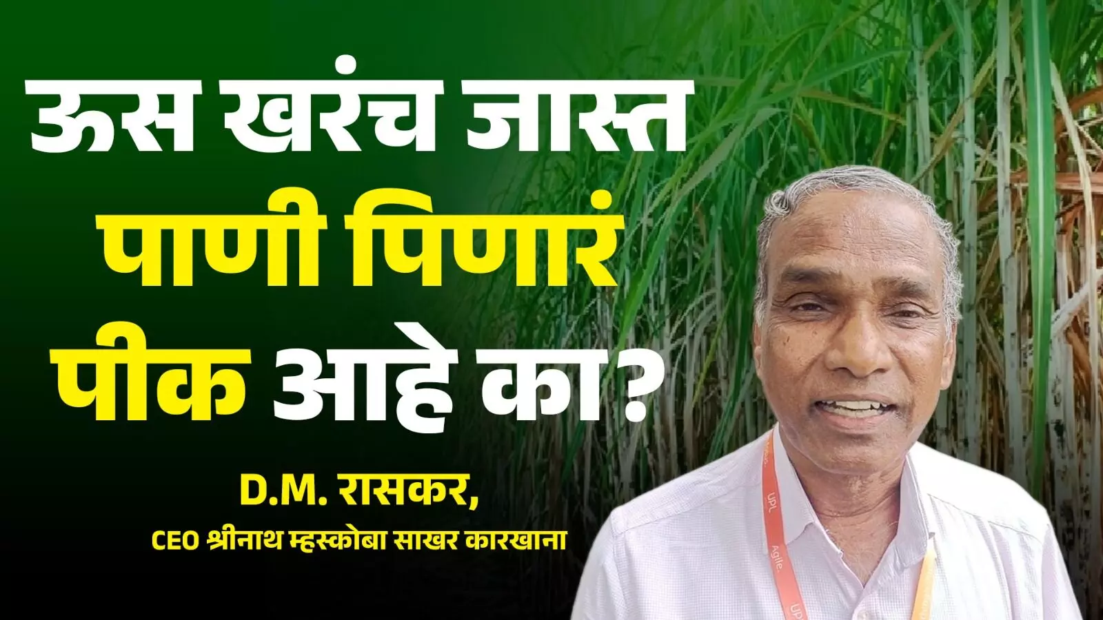 Sugarcane ऊस खरंच जास्त पाणी पिणारं पीक आहे का?