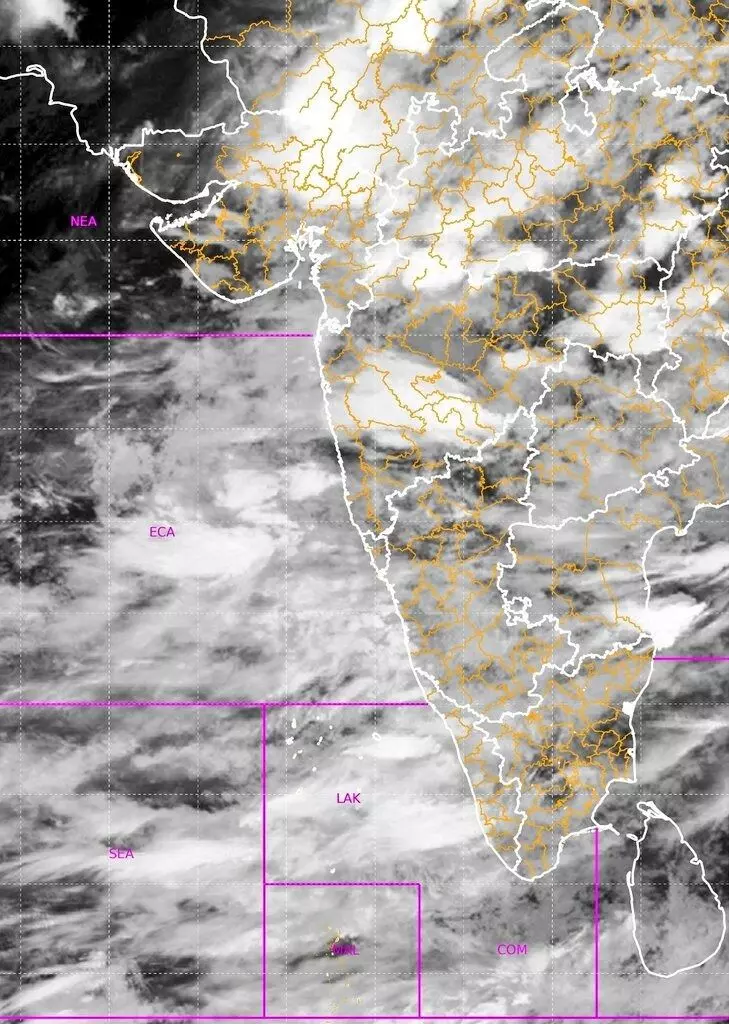 पुढील 4 दिवस मुसळधार पाऊस; मध्य महाराष्ट्र, मराठवाड्यात 8 जुलैपर्यंत जोरदार पाऊस