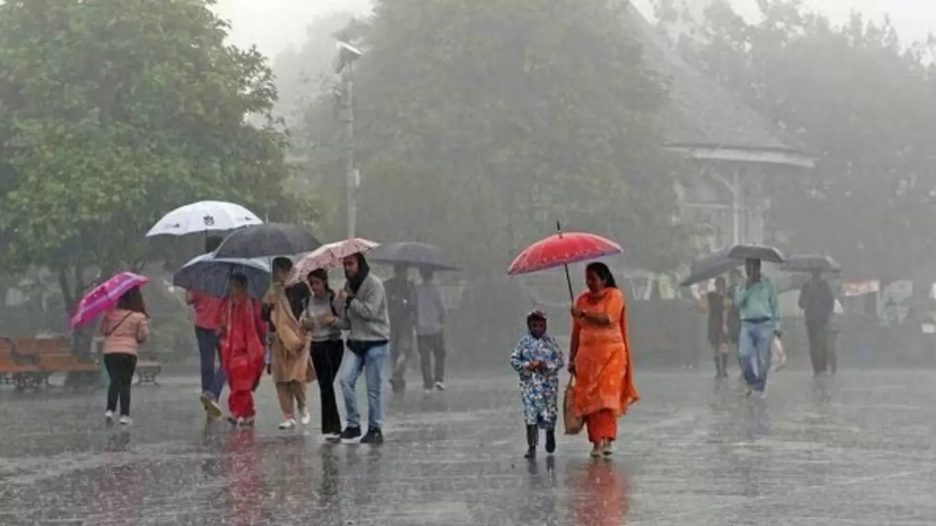 Weather Monsoon Update : पुण्यासह 5 जिल्ह्यांमध्ये मुसळधार पाऊस, हवामान विभागाचा इशारा