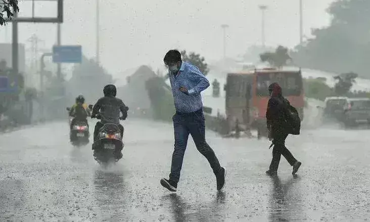 BULDHANA | खामगावात पिवळ्या बेडकांच्या पावसाची अफवा ! निसर्ग अभ्यासकांचे स्पष्टीकरण