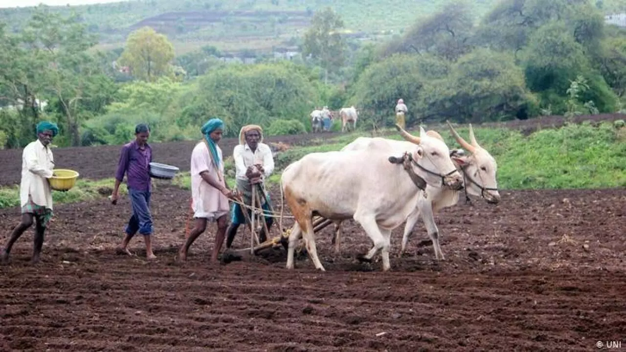 तिसरं सभागृह: अडचणीतील शेती आणि शेतकऱ्यांसाठी सरकार काय घोषणा करणारं?