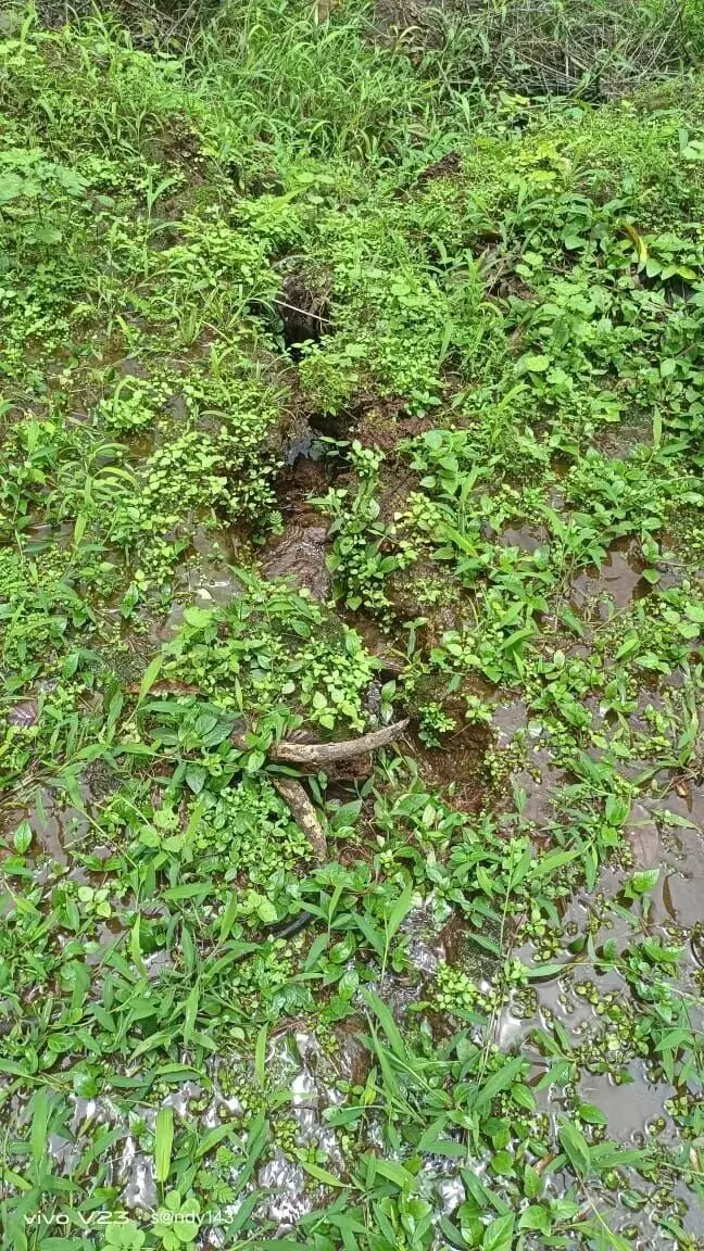 कोकणातील अनेक गावांची इरशाळवाडी होऊ नये म्हणून...