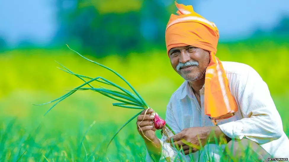 ऑनलाईन सातबाऱ्यातील प्रशासकीय चुक, नांदेडमधील अख्खं गावच पीक विम्यापासून वंचित