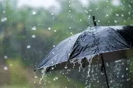 राज्यात पाऊस पुन्हा सक्रीय; हवामान विभागाचा अंदाज