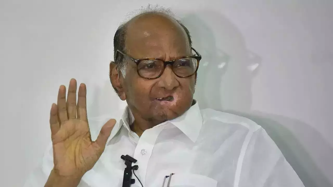 Sharad Pawar: MVA मधून राष्ट्रवादीला किती जागा मिळणार? शरद पवारांनी सांगितला आकडा