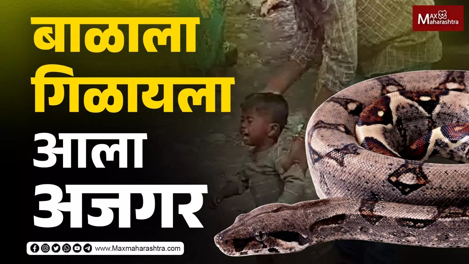 बाळाला गिळायला आला अजगर