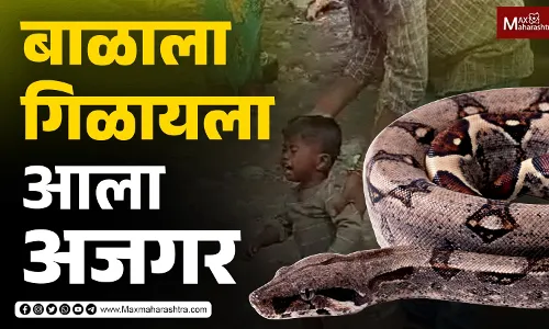 बाळाला गिळायला आला अजगर बाळाला गिळायला आला अजगर