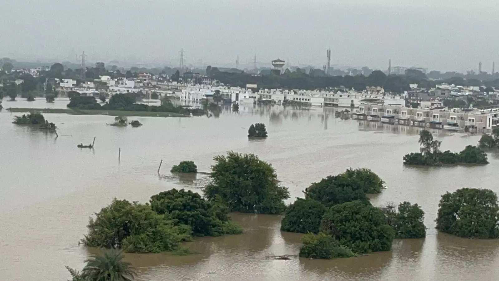 Rain Update : नर्मदा नदी धोक्याचा पातळीवर.....