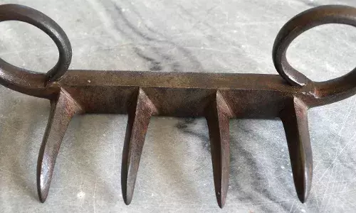 ‘कर्जाऊ’ का होईना छत्रपतींची वाघनखं येणार महाराष्ट्रात !