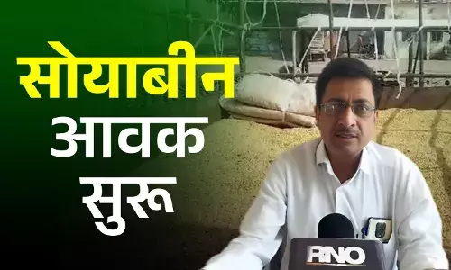 चोपडा कृषी उत्पन्न बाजार समितीत 400 क्विंटल सोयाबीनची आवक चोपडा कृषी उत्पन्न बाजार समितीत 400 क्विंटल सोयाबीनची आवक