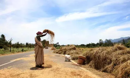 राज्याची धान्याची कोठारं रिकामी होणार राज्याची धान्याची कोठारं रिकामी होणार