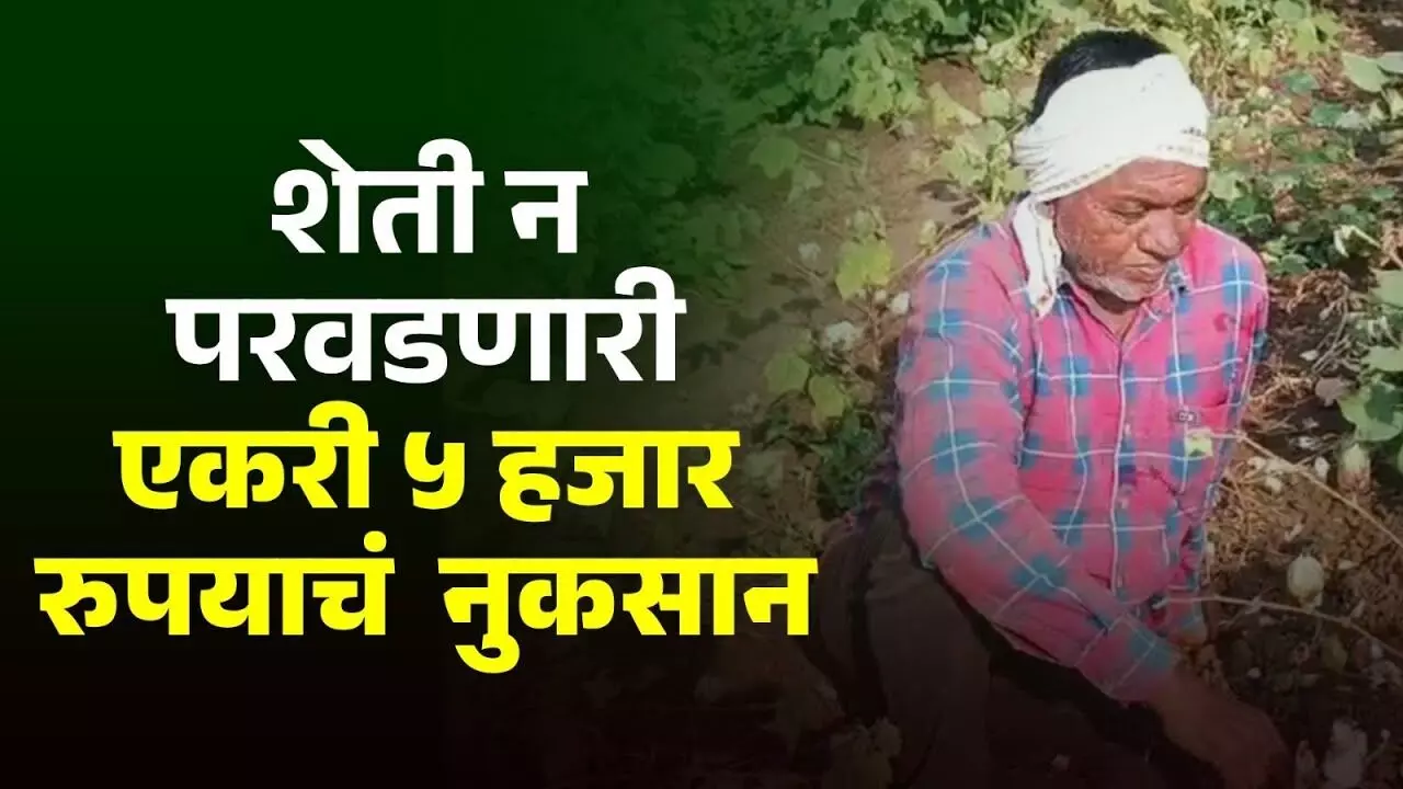Maharashtra Farmers : दुष्काळी भागातील शेतकरी अडचणीत