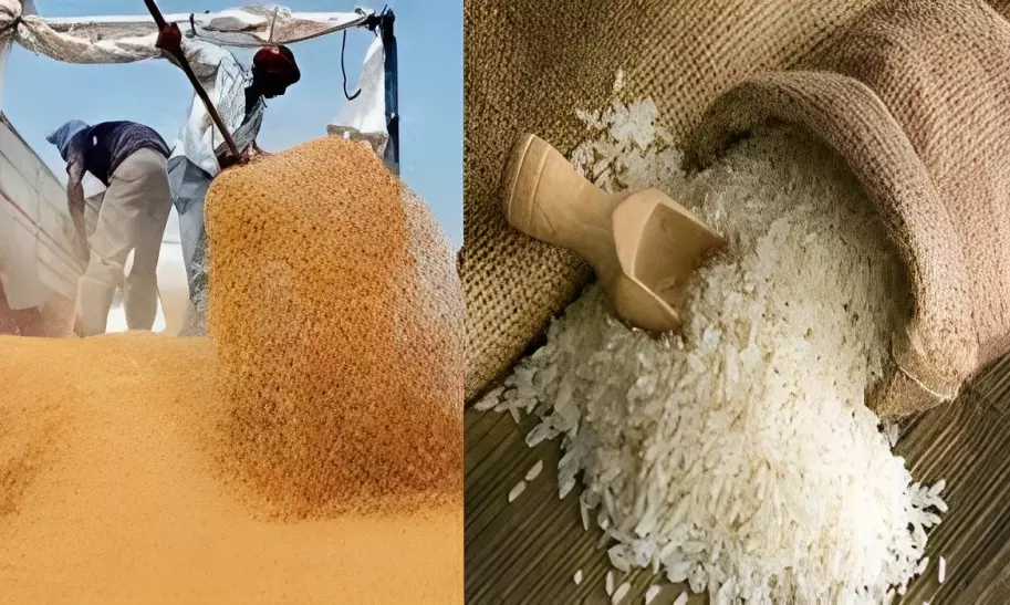 देशांतर्गत 26 व्या ई-लिलावादरम्यान 3.46 लाख टन गहू आणि 13,164 टन तांदूळ विक्री