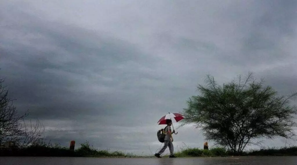 नव्या वर्षाच्या सुरवातीलाच अवकाळी पाऊसाचा हवामान खात्याचा अंदाज