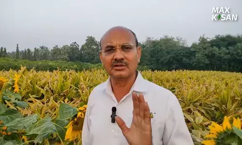 करार शेतीमुळे शेतकऱ्यांना हमीभावाची गॅरंटी... करार शेती तज्ञ गौतम देसारडा करार शेतीमुळे शेतकऱ्यांना हमीभावाची गॅरंटी... करार शेती तज्ञ गौतम देसारडा