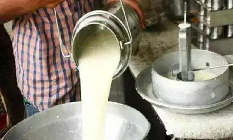 दूध उत्पादक शेतकऱ्यांना मोठा दिलासा