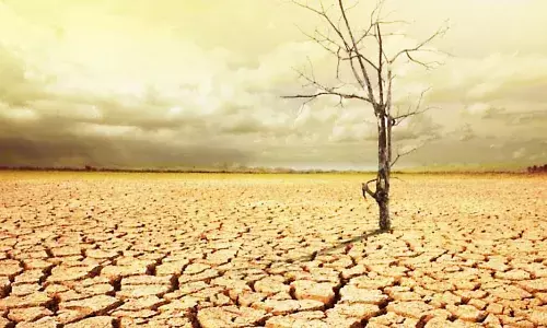 नवीन 220 महसूल मंडळात होणार दुष्काळ जाहीर नवीन 220 महसूल मंडळात होणार दुष्काळ जाहीर