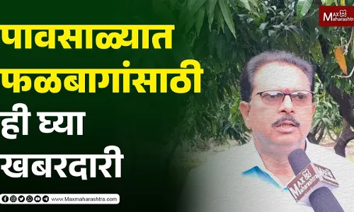 पावसाळ्यात फळबागांची ही घ्या खबरदारी अन्यथा होऊ शकते मोठे नुकसान