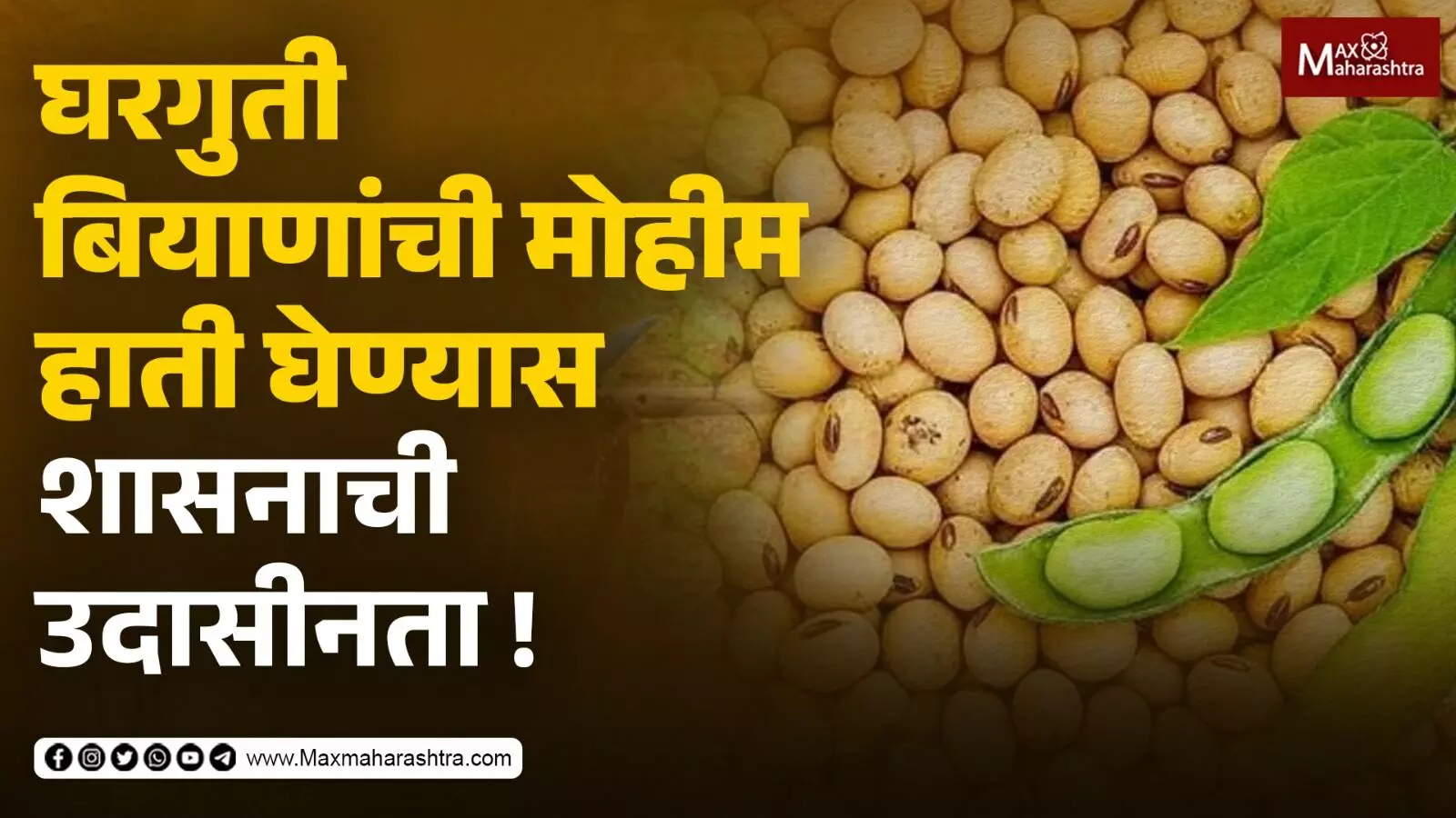 घरगुती बियाणांची मोहीम हाती घेण्यास शासनाची उदासीनता !