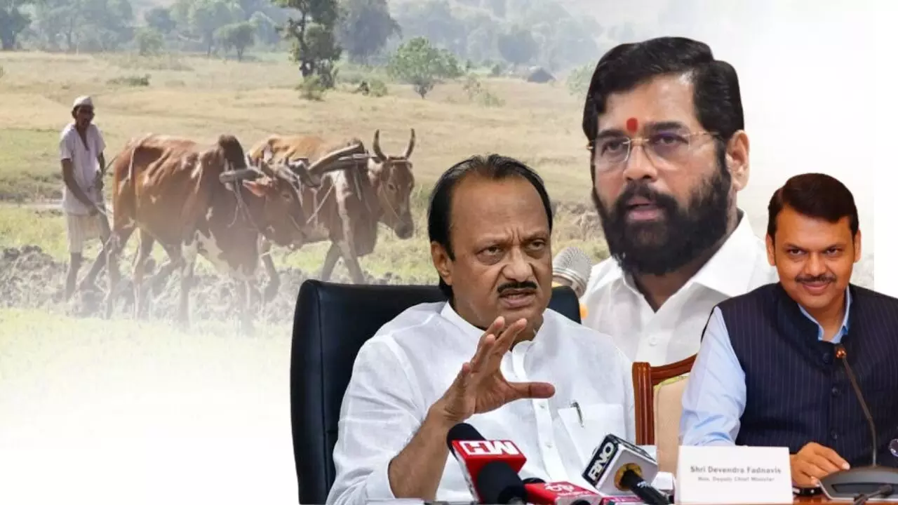स्वावलंबी शेतकरी, संपन्न शेतकरी : शेतकऱ्यांवर योजनांचा पाऊस, महायुतीचा शेवटचा बजेट...