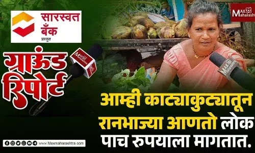 आमच्या रानभाज्यांना बाजारपेठ उपलब्ध करून द्या, रायगडाच्या आदिवासींची मागणी