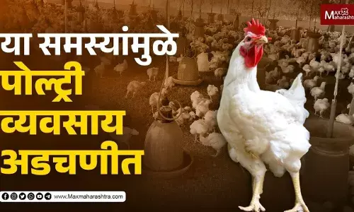 सरकारने पोल्ट्री व्यावसायिकांची पाणीपट्टी व करपट्टी माफ करावी