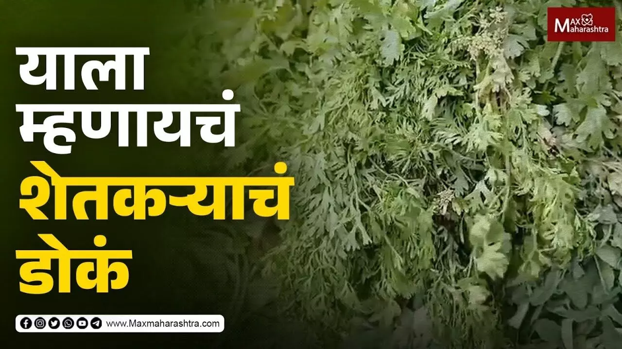 २ रुपये पेंडीने भाजी जायची, शेतकऱ्याने डोकं चालवलं
