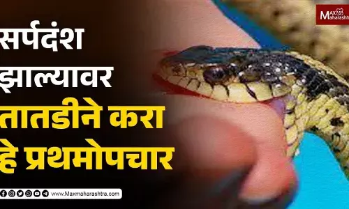सर्पदंश झाल्यावर तातडीने करा हे प्रथमोपचार