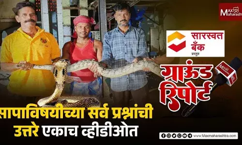 सापांचे हे महत्त्व समजल्यावर तुमच्या मनात सापांना मारण्याचा विचारही येणार नाही