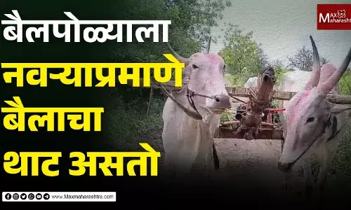 बैलपोळ्याला बैलाला शिवी नव्हे हात सुध्दा लावत नाही, एखाद्या नवऱ्याप्रमाणे त्याची वरात काढतो बैलपोळ्याला बैलाला शिवी नव्हे हात सुध्दा लावत नाही, एखाद्या नवऱ्याप्रमाणे त्याची वरात काढतो