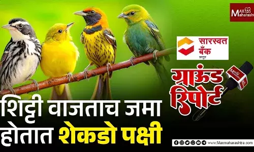 तो शिट्टी वाजवतो आणि शेकडो पक्षी अंगणात जमतात