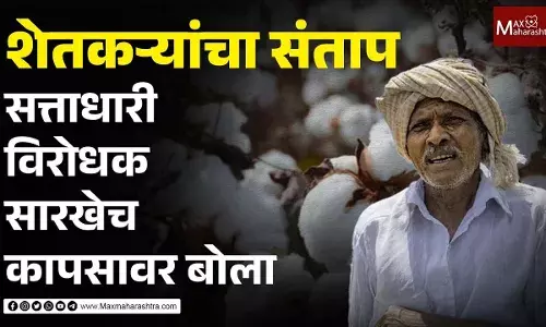 शेतकऱ्यांचा संताप,सत्ताधारी, विरोधक सारखेच कापसावर बोला शेतकऱ्यांचा संताप,सत्ताधारी, विरोधक सारखेच कापसावर बोला