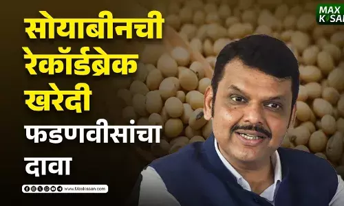 सोयाबीनची रेकॉर्डब्रेक खरेदी फडणवीसांचा दावा