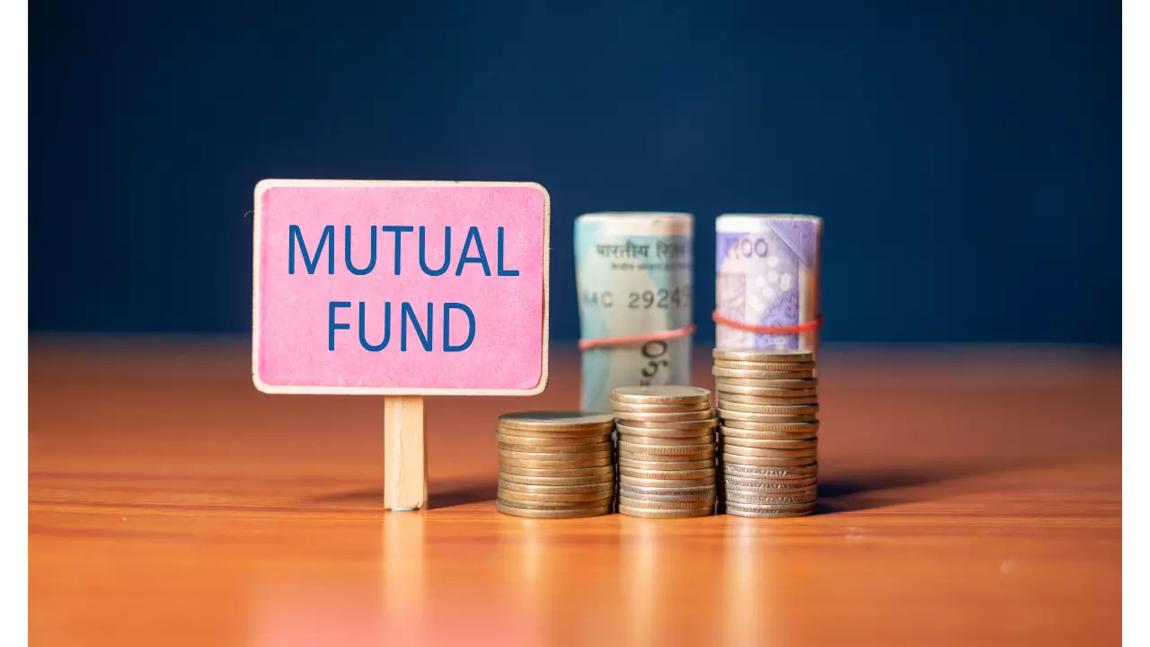 Parag Parikh Mutual Fund ने कोणते शेअर्स खरेदी केले ?