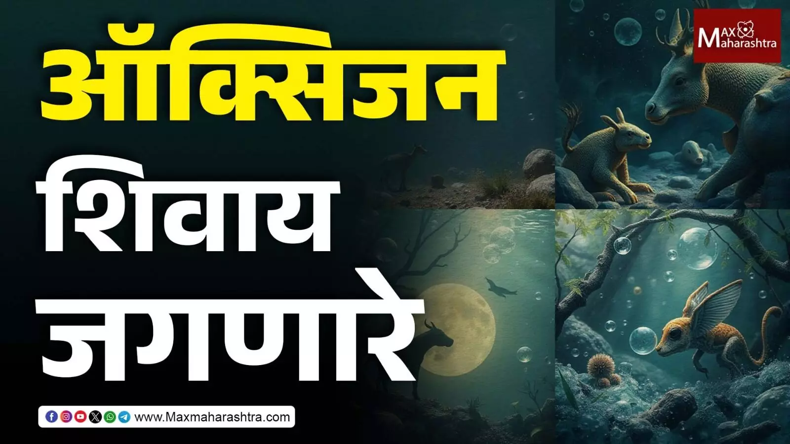Explainer | ऑक्सिजनशिवाय जगू शकणारे प्राणी
