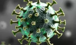 जग पुन्हा कोरोना संकटाच्या सावटाखाली