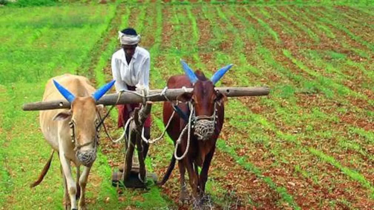 शेतकरी स्वातंत्र्यासाठी निवडणूक पद्धतीत सुधारणा आवश्यक