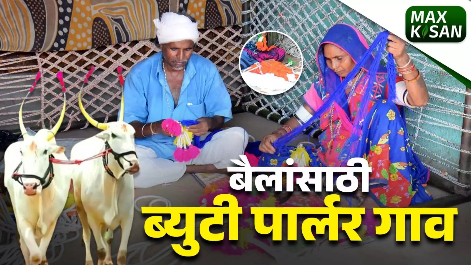 ‘पशु सौंदर्याची परंपरा बंद्रीझिरा बैल पोळा विशेष...
