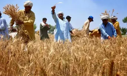 प्रधानमंत्री धन-धान्य कृषी योजना: एकात्मिक शेती विकासाची नवी दिशा... प्रधानमंत्री धन-धान्य कृषी योजना: एकात्मिक शेती विकासाची नवी दिशा...