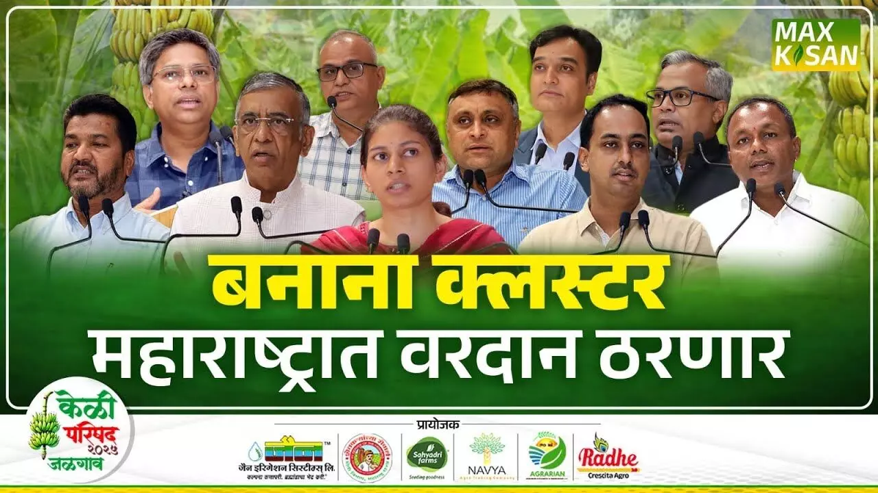 केळीचं भवितव्य काय ? पाहा ‘केळी परिषद २०२५, जळगाव’ मध्ये