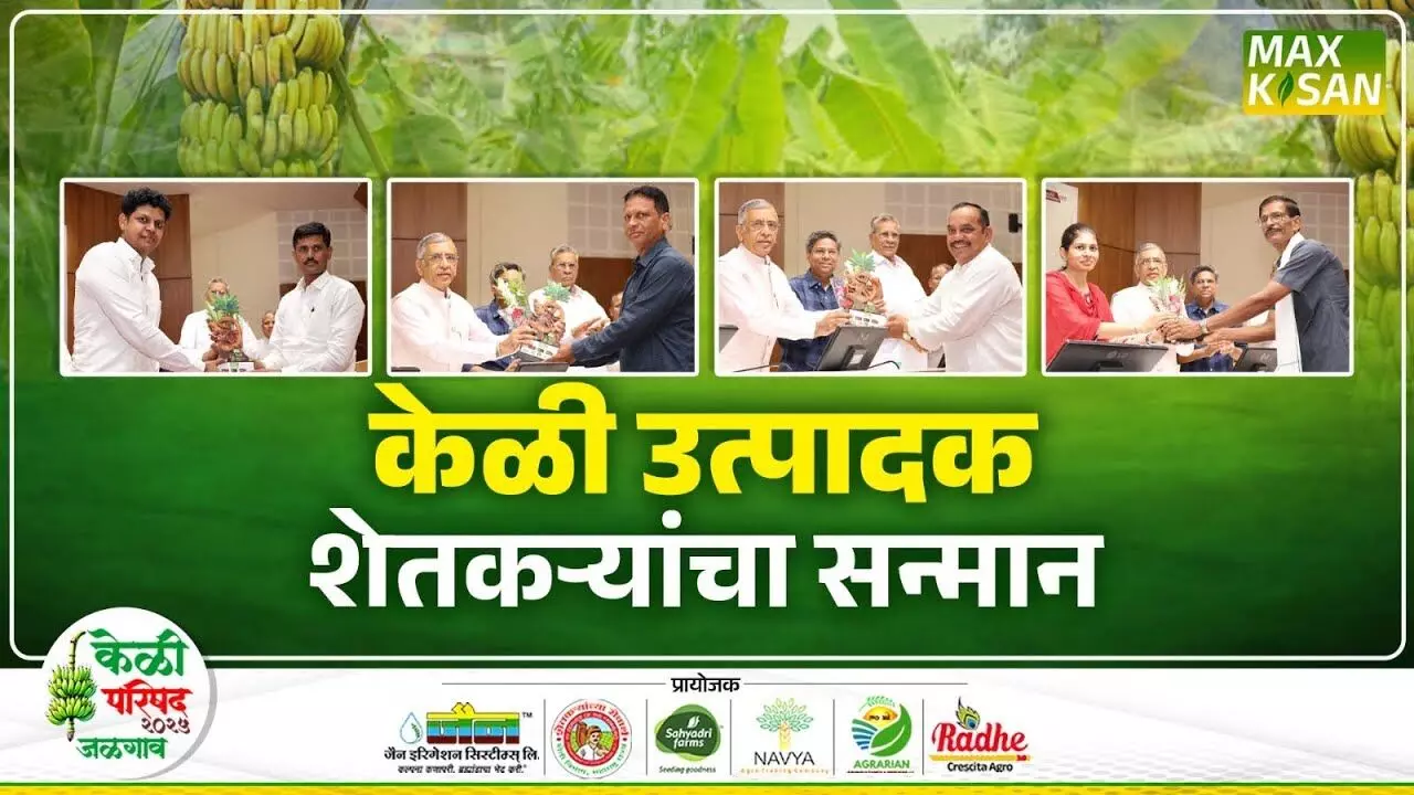 Banana Conference 2025 : कार्यक्रमाला उपस्थित पाहुण्यांसह शेतकऱ्यांचा देखील सन्मान