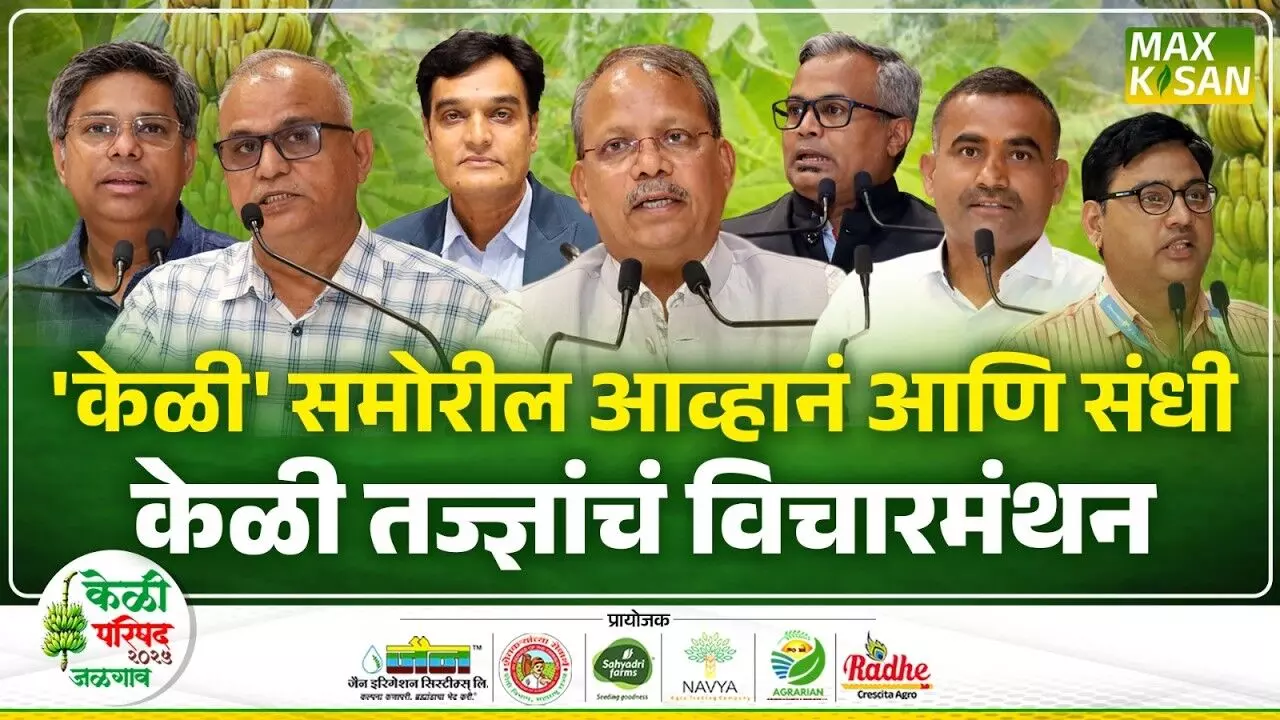 Banana Conference : केळी उत्पादनातून महाराष्ट्राचं चित्रं बदलणार ! केळी परिषदेतून उमटला सूर