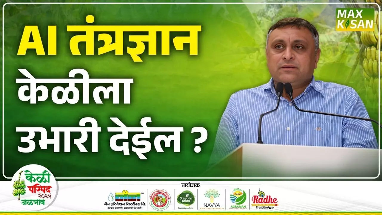 Amol Jawale : केळी परिषदेतील माहिती सरकारपर्यंत पोहोचविणार - आमदार अमोल जावळे