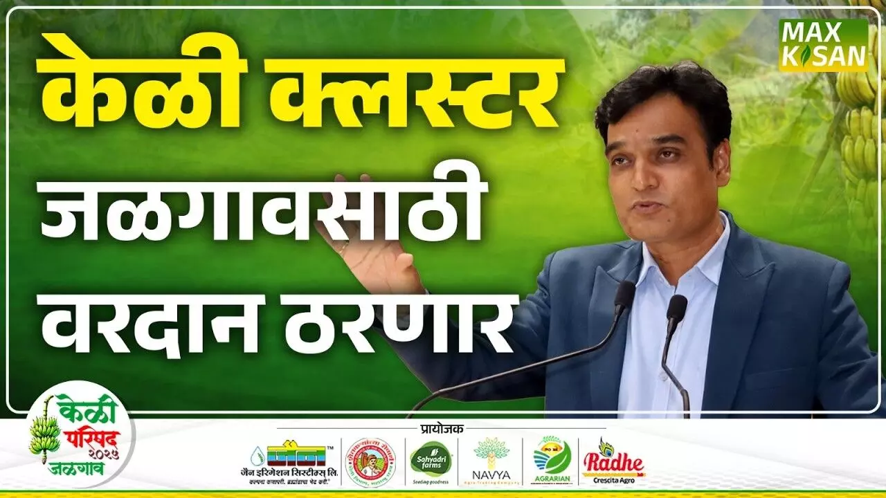Banana Conference : मॅक्स किसानची केळी परिषद शेतकऱ्यांसाठी वरदान ठरणार!